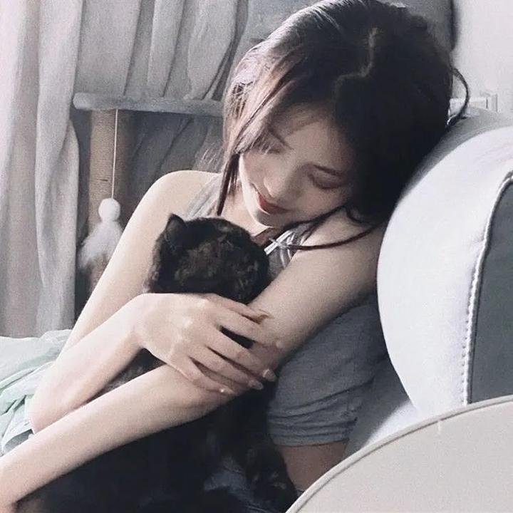 在无爱之森呐喊：深入密森